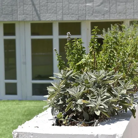 Feriehus To Spitaki *